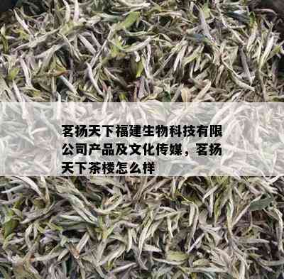 茗扬天下福建生物科技有限公司产品及文化传媒，茗扬天下茶楼怎么样