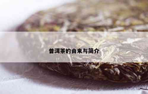 普洱茶的由来与简介