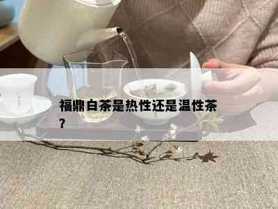 福鼎白茶是热性还是温性茶？