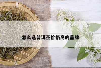 怎么选普洱茶价格高的品牌