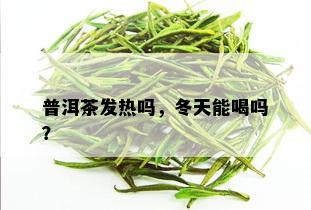 普洱茶发热吗，冬天能喝吗？