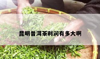 昆明普洱茶利润有多大啊