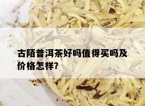 古陌普洱茶好吗值得买吗及价格怎样？