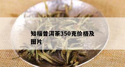 知福普洱茶350克价格及图片