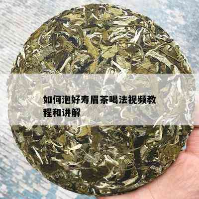 如何泡好寿眉茶喝法视频教程和讲解