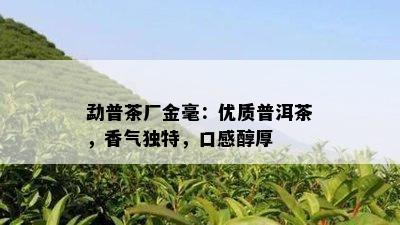 勐普茶厂金毫：优质普洱茶，香气独特，口感醇厚