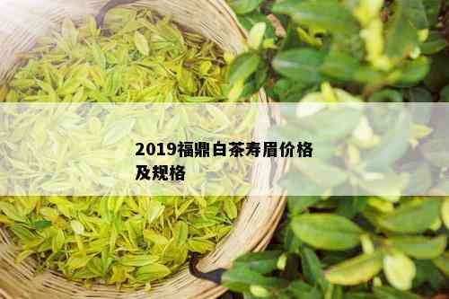 2019福鼎白茶寿眉价格及规格