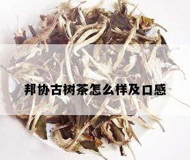 邦协古树茶怎么样及口感