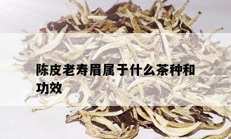 陈皮老寿眉属于什么茶种和功效