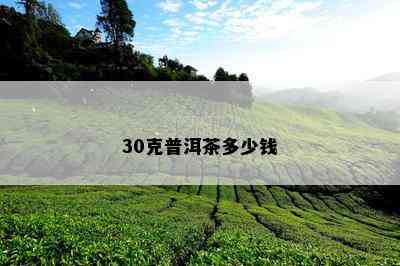 30克普洱茶多少钱