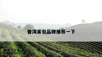 普洱茶包品牌推荐一下