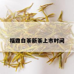 福鼎白茶新茶上市时间