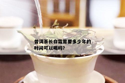 普洱茶长白霜需要多少年的时间可以喝吗？