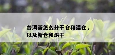 普洱茶怎么分干仓和湿仓，以及新仓和烘干