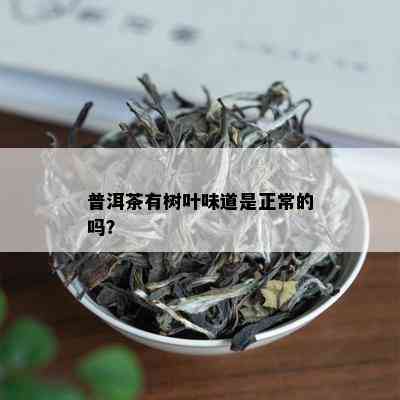 普洱茶有树叶味道是正常的吗？