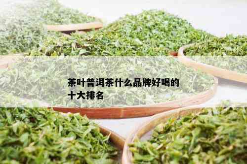 茶叶普洱茶什么品牌好喝的十大排名