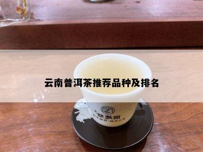 云南普洱茶推荐品种及排名