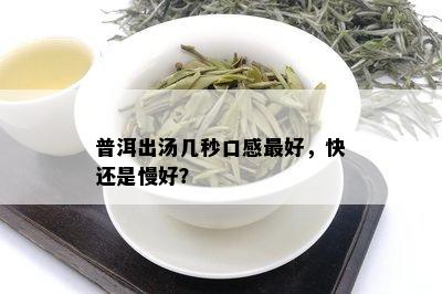 普洱出汤几秒口感更好，快还是慢好？