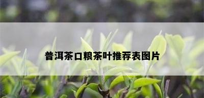 普洱茶口粮茶叶推荐表图片