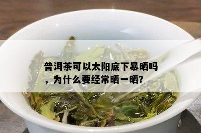 普洱茶可以太阳底下暴晒吗，为什么要经常晒一晒？