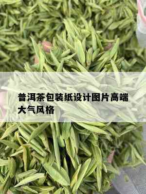 普洱茶包装纸设计图片高端大气风格