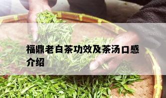 福鼎老白茶功效及茶汤口感介绍