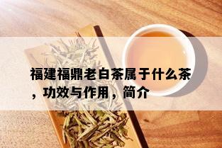 福建福鼎老白茶属于什么茶，功效与作用，简介