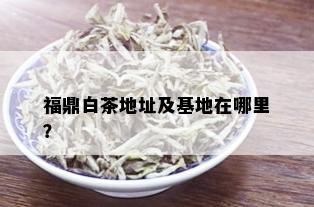 福鼎白茶地址及基地在哪里？