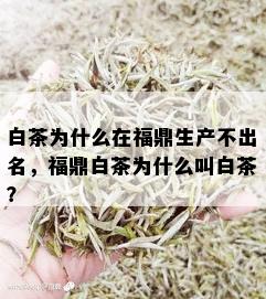 白茶为什么在福鼎生产不出名，福鼎白茶为什么叫白茶？