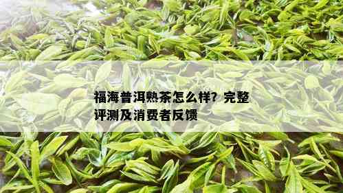 福海普洱熟茶怎么样？完整评测及消费者反馈