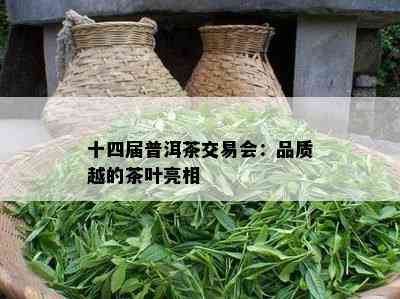 十四届普洱茶交易会：品质越的茶叶亮相