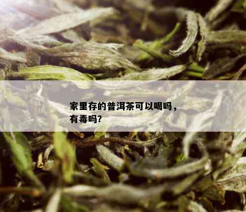 家里存的普洱茶可以喝吗，有吗？