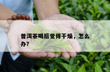 普洱茶喝后觉得干燥，怎么办？