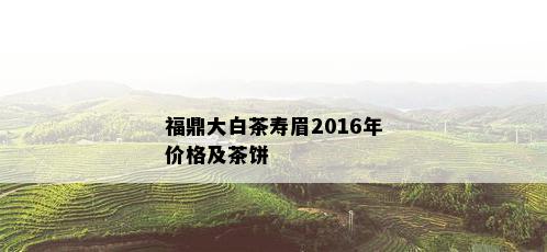 福鼎大白茶寿眉2016年价格及茶饼