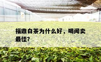 福鼎白茶为什么好，喝闻卖更佳？