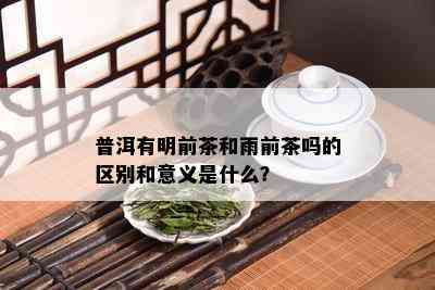 普洱有明前茶和雨前茶吗的区别和意义是什么？