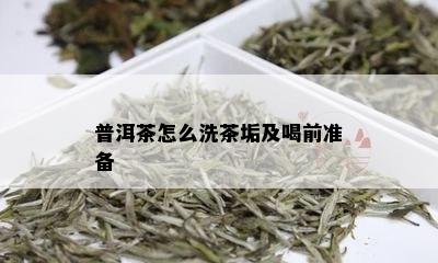 普洱茶怎么洗茶垢及喝前准备