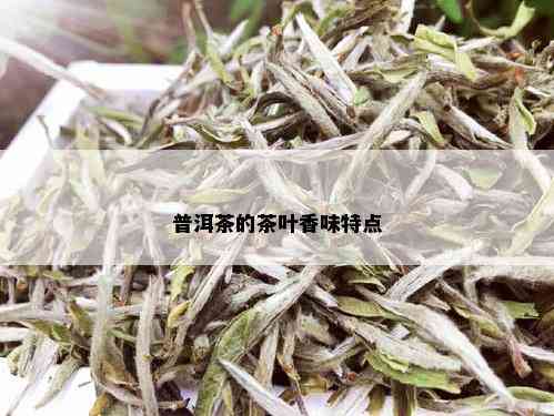 普洱茶的茶叶香味特点