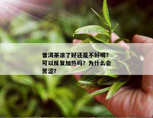 普洱茶凉了好还是不好喝？可以反复加热吗？为什么会苦涩？