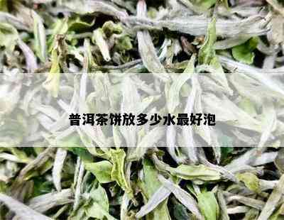 普洱茶饼放多少水更好泡