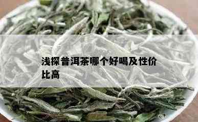 浅探普洱茶哪个好喝及性价比高