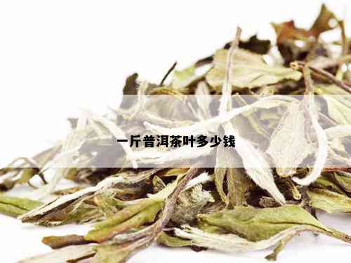 一斤普洱茶叶多少钱