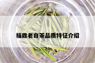 福鼎老白茶品质特征介绍