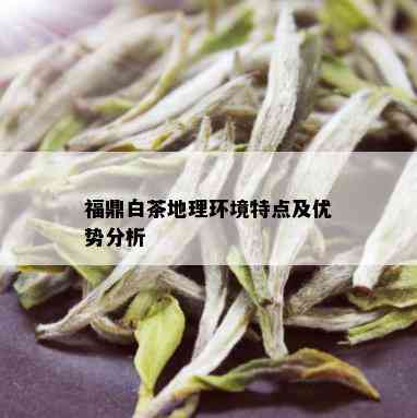 福鼎白茶地理环境特点及优势分析