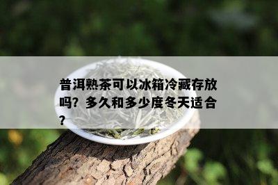 普洱熟茶可以冰箱冷藏存放吗？多久和多少度冬天适合？