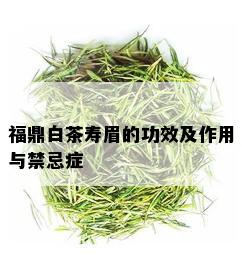 福鼎白茶寿眉的功效及作用与禁忌症