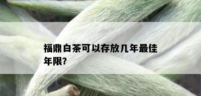 福鼎白茶可以存放几年更佳年限？