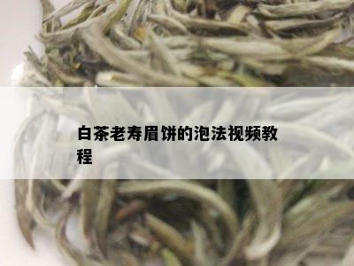 白茶老寿眉饼的泡法视频教程