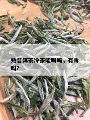 熟普洱茶冷茶能喝吗，有吗？