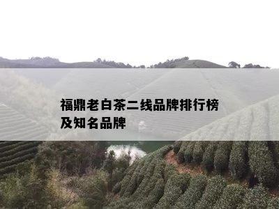 福鼎老白茶二线品牌排行榜及知名品牌